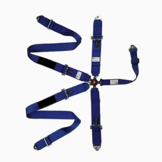 Quid est definiens partes autonomae sedem in era de iuris incessus?